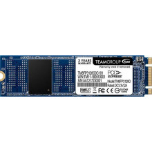 SSD Накопичувач Team Group MP32 128GB PCIe x2 NVMe (TM8FP3128G0C101)