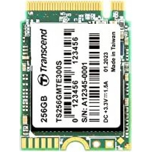 SSD Накопичувач TRANSCEND TS256GMTE300S