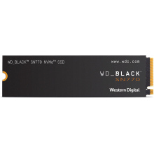 SSD Накопичувач WESTERN DIGITAL WDS100T3X0E